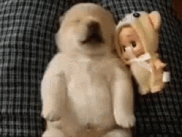 a puppy is sleeping next to a doll wearing a bear costume .