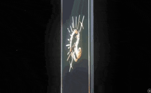a glowing object in a glass container with a spotlight shining on it