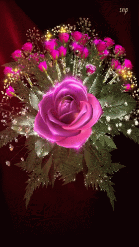 Pink Flowers GIF - Pink Flowers Roses GIFs