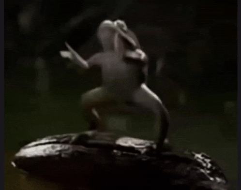 a frog is standing on a rock and making a peace sign