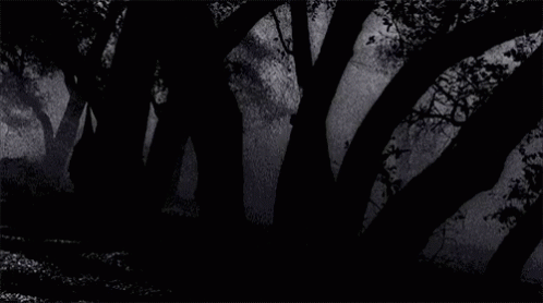 Witch Ahs GIF - Witch Ahs Coven GIFs