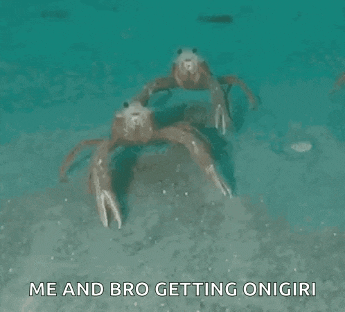 two crabs are dancing in the water with the words `` me and bro getting onigiri '' in the background .
