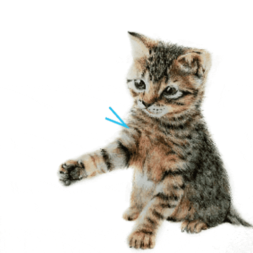a kitten with a speech bubble that says ' 你 ' on it