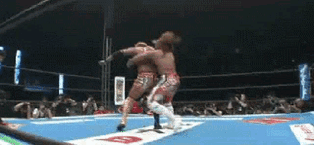 two men are wrestling in a boxing ring with a crowd watching