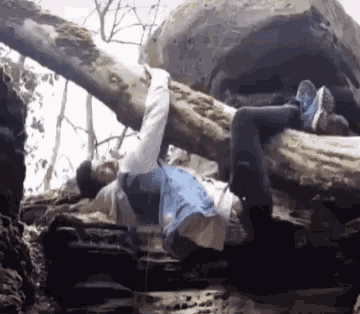 a person is laying on a fallen tree branch .