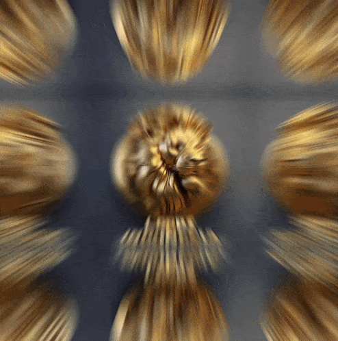 a blurry picture of a lion 's head with a blurred background