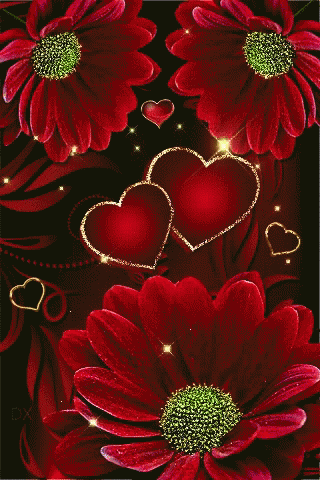Red Flowers GIF - Red Flowers Love GIFs