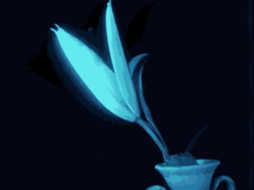 a blue flower is growing out of a white cup in a dark room .