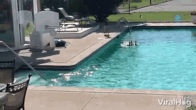 a swimming pool with a basketball hoop in the background
