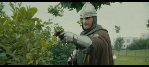 a man in a knight 's outfit is standing in a park