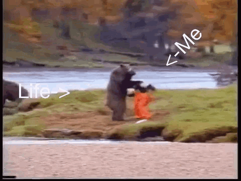 Life Fight GIF - Life Fight Imdone GIFs