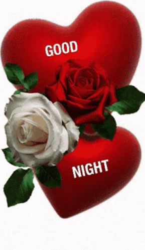 Good Night Rose GIF
