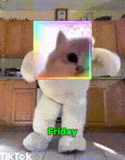 a teddy bear with a picture of a cat on it and the words friday