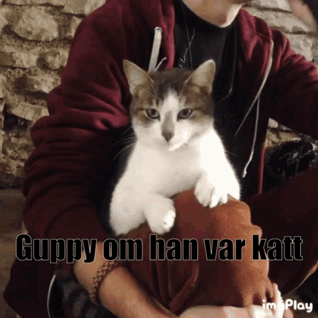 a person holding a cat with the words guppy om han var katt below them