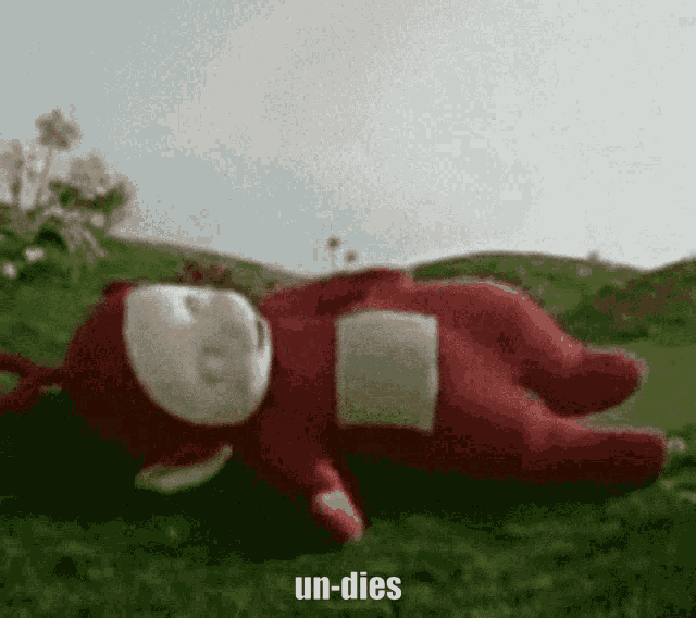 a teletubbies doll is laying in the grass