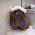 a stuffed animal is wearing a white hat and sitting on a toilet