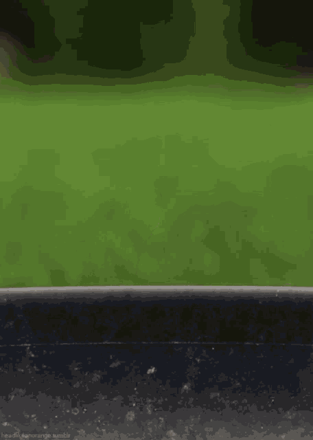 a green background with a black object in the foreground and the word tumblr on the bottom right
