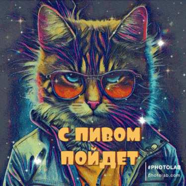a colorful painting of a cat wearing sunglasses and a jacket says photolab