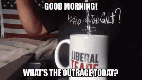 Liberal Conservative GIF - Liberal Conservative Outrage GIFs
