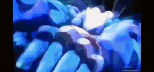 a blurry picture of a person 's hands with the words animated on the bottom