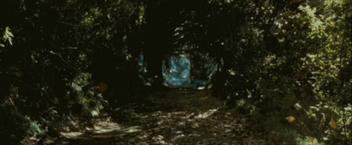 Lord Of The Rings Dolly Zoom GIF - Lord Of The Rings Dolly Zoom GIFs