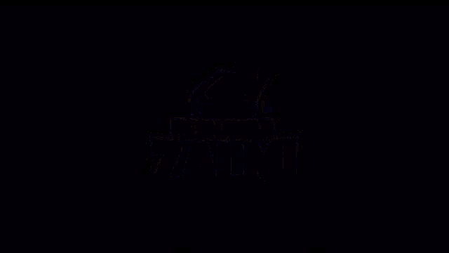 the word zalmi is glowing in the dark