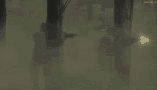 a man is holding a gun in a foggy forest while another man holds a flashlight .