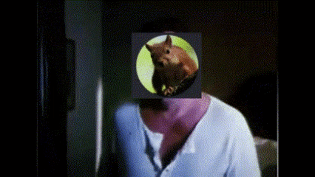 a person with a picture of a squirrel in front of their face