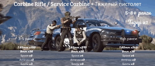 a picture of a carbine rifle / service carbine in a video game
