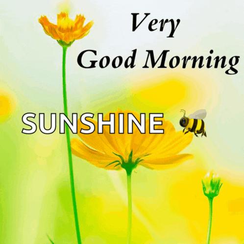 a yellow flower with the words very good morning sunshine