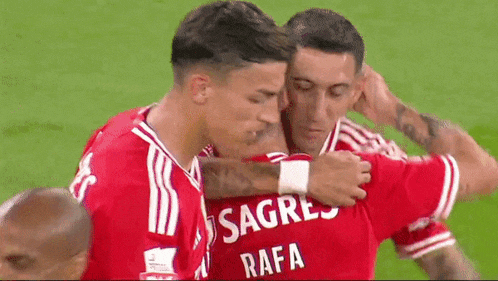 two soccer players are hugging each other on the field . one of the players is wearing a sagres shirt .