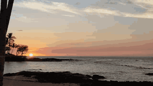 a sunset over a body of water with a few palm trees in the foreground