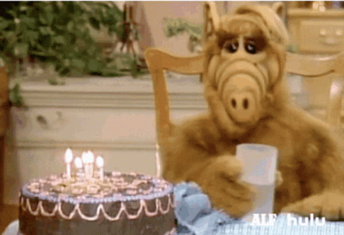 Alf Birthday Cake GIF - Alf Birthday Cake Water GIFs