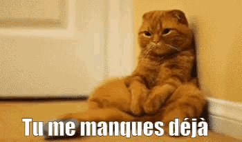 a cat is leaning against a wall with the words tu me manques deja written below it .