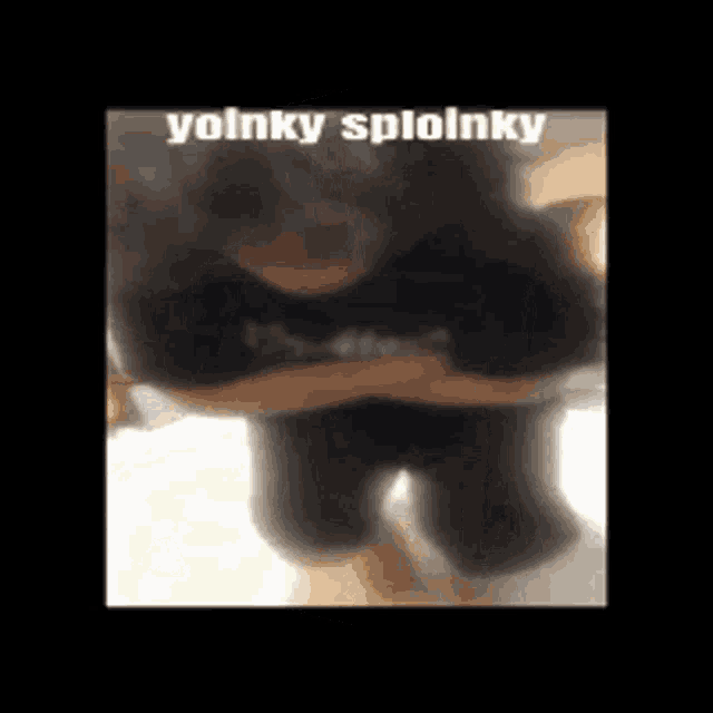 a person is kneeling down with their arms crossed and the words yolnky sploinky written on the bottom .