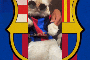 a cat wearing sunglasses and a barcelona shirt is sitting in front of a flag .