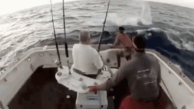 Marlin Attack GIF - Marlin Attack Boat GIFs