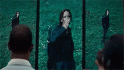 Starting A Revolution GIF - Hunger Games Katniss Everdeen Jennifer Lawrence GIFs