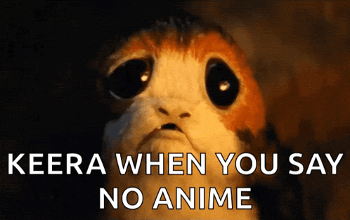 a close up of a cat with the words keera when you say no anime