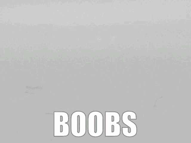 a laptop with a picture of a cat and the word boobs on the bottom