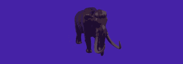 a 3d model of a mammoth with a purple background