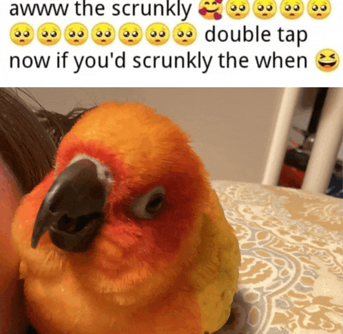 a picture of a bird with a caption that says awww the scrunkly double tap