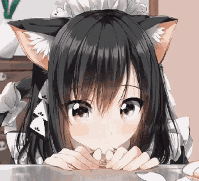 Catgirl Maid GIF - Catgirl Maid Kawaii GIFs