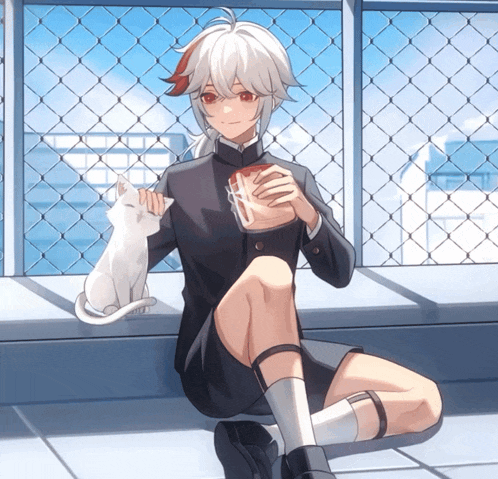 a boy is sitting on a balcony with a cat