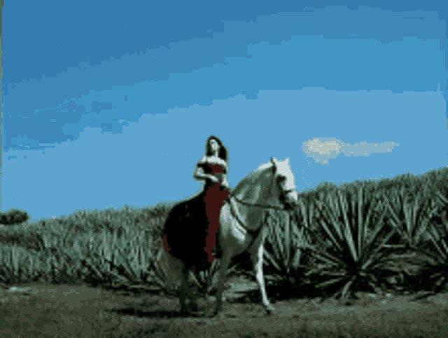 a woman in a red dress rides a white horse in a field