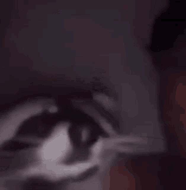 a blurry picture of a cat laying on a bed in the dark .