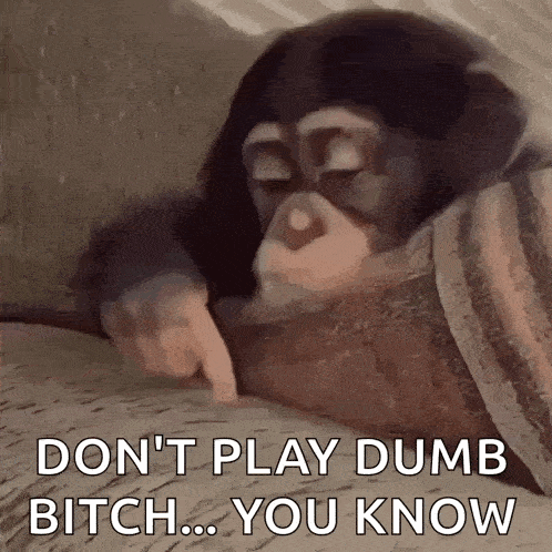 a monkey is laying on a bed and pointing at something with the words `` do n't play dumb bitch ... you know ''