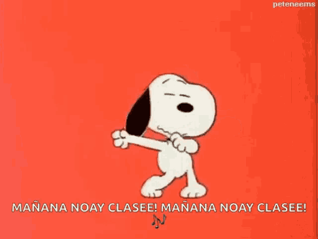 snoopy is dancing in front of a red background with the words `` manana noay clasee ! ''