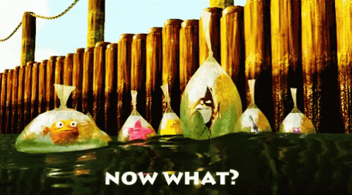 Now GIF - Now What Finding Nemo Fishes GIFs