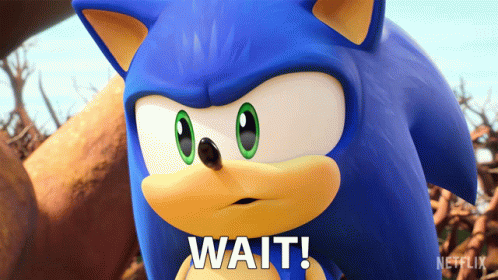 Wait Sonic The Hedgehog GIF - Wait Sonic The Hedgehog Sonic Prime GIFs